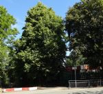 Brentnall Primary School Salford